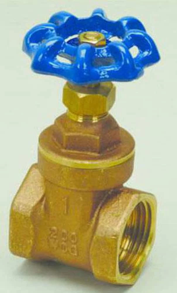 Promo 🥰 PROFLO® 1-1/4 in. Brass Port FNPT Gate Valve 🔔